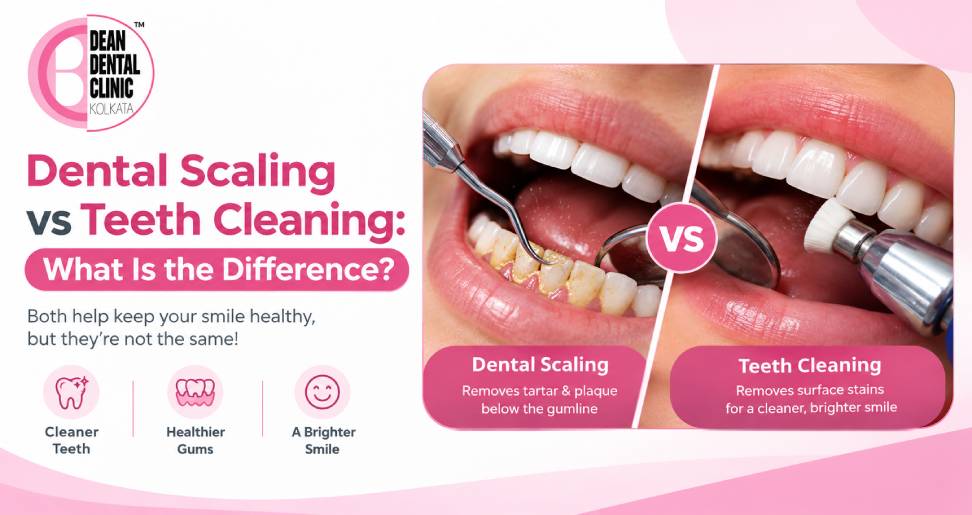 Dental Scaling vs Teeth Cleaning What Is the Difference